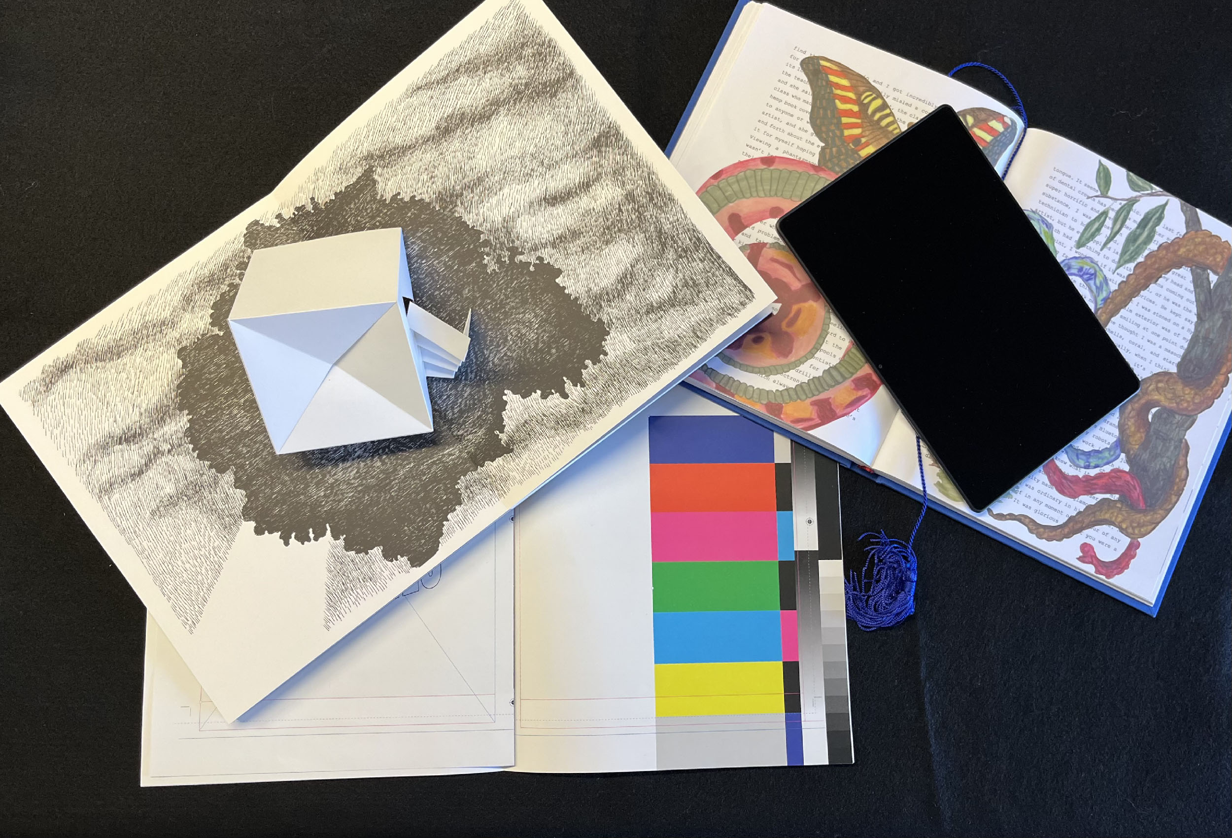 3 books lying open on a blue velvet background. One book has black and white illustrations, one book has a print color test pattern, and the third has animal illustrations on top of printed words.